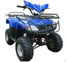 Electric Atv/Quad - ID-EA-003