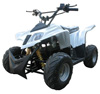 Electric Atv/Quad