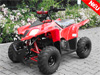 Electric Atv/Quad - ID-EA-001