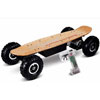 Electric Skateboard